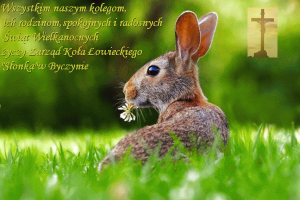 Kartka wieta wielkanocne koo